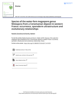 Species of the Water-Fern Megaspore Genus Molaspora from a Cenomanian Deposit in Western France: Occurrence, Sporoderm Ultrastructure and Evolutionary Relationships