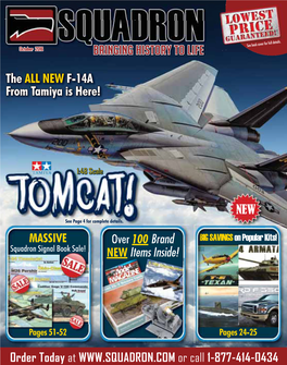 BRINGING HISTORY to LIFE the ALL NEW F-14A from Tamiya Is