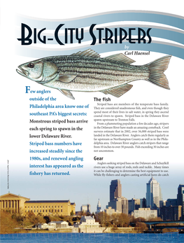 Big City Stripers