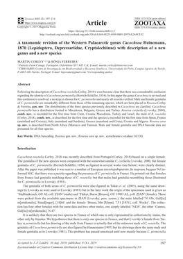 Lepidoptera, Depressariidae, Cryptolechiinae) with Description of a New Genus and a New Species