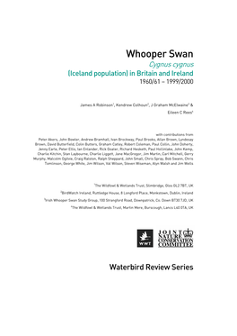 Whooper Swan Cygnus Cygnus (Iceland Population) in Britain and Ireland 1960/61 – 1999/2000