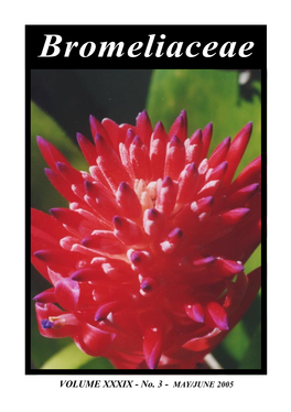 Bromeliaceae