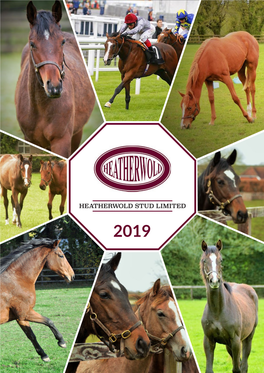 Heatherwold Stud Limited 2019 2018-19 Racing Successes Contents