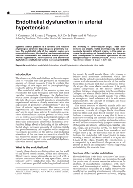 Endothelial Dysfunction in Arterial Hypertension