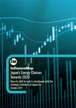 Japan's Energy Choices Towards 2020