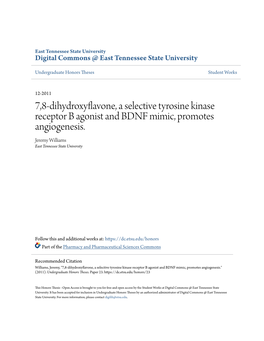 7,8-Dihydroxyflavone, a Selective Tyrosine Kinase Receptor B Agonist and BDNF Mimic, Promotes Angiogenesis