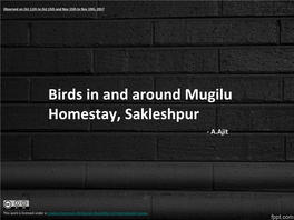 Birds Around Mugilu Sakleshpur