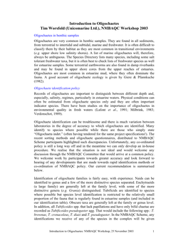 Introduction to Oligochaetes Tim Worsfold (Unicomarine Ltd.), NMBAQC Workshop 2003 Oligochaetes in Benthic Samples Oligochaetes Are Very Common in Benthic Samples