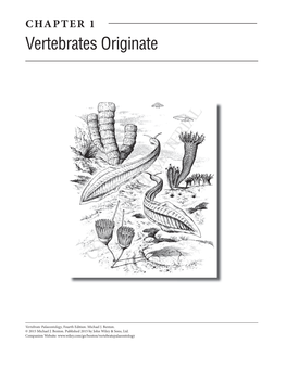 Vertebrates Originate