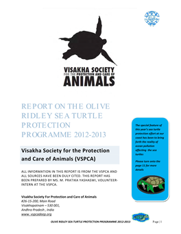 SEA TURTLE PROTECTION FORCE (With Pictures) 5