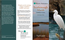 Scarborough Marsh Is the Largest Salt Marsh in the State, Comprising Tidal Marsh, Salt Wildlife Sanctuary