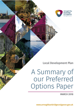 A Summary of Our Preferred Options Paper