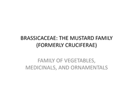 Brassicaceae: the Mustard Family (Formerly Cruciferae)