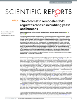 The Chromatin Remodeler Chd1 Regulates Cohesin in Budding Yeast