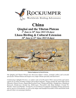 Qinghai and the Tibetan Plateau Lhasa Birding & Cultural Extension
