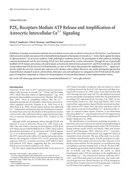 P2X7 Receptors Mediate ATP Release and Amplification of Astrocytic Intercellular Ca2ϩ Signaling