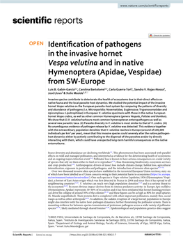 Identification of Pathogens in the Invasive Hornet Vespa Velutina and in Native Hymenoptera (Apidae, Vespidae) from SW-Europe