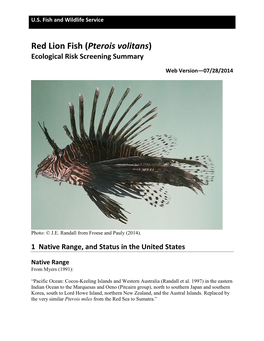 Lion Fish, Red (Pterois Volitans)