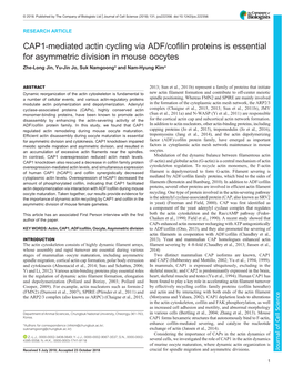 CAP1-Mediated Actin Cycling Via ADF/Cofilin Proteins Is Essential for Asymmetric Division in Mouse Oocytes Zhe-Long Jin, Yu-Jin Jo, Suk Namgoong* and Nam-Hyung Kim*