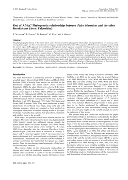 Out of Africa? Phylogenetic Relationships Between Falco Biarmicus and the Other Hierofalcons (Aves: Falconidae)