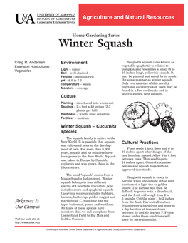 Winter Squash