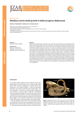 Maxillary Canine Tooth Growth in Babirusa (Genus Babyrousa)