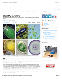 Steal My Sunshine | the Scientist Magazine® 2/3/13 5:26 PM