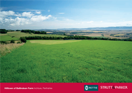 Hilltown of Ballindean Farm Inchture, Perthshire