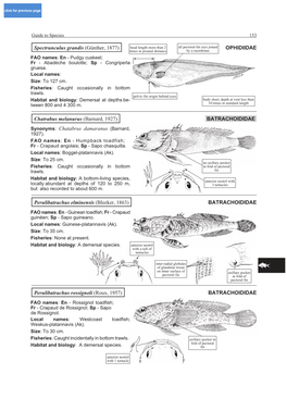 BATRACHOIDIDAE Synonyms: Chatabrus Damaranus (Barnard, 1927)