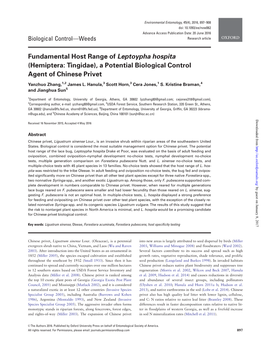 Fundamental Host Range of Leptoypha Hospita (Hemiptera: Tingidae), a Potential Biological Control Agent of Chinese Privet