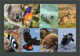 Australian Wildlife Journeys