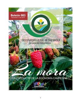 3. Producción De Mora En Santander