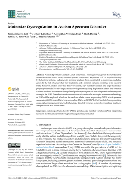 Molecular Dysregulation in Autism Spectrum Disorder