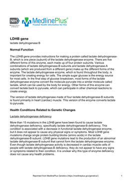 LDHB Gene Lactate Dehydrogenase B