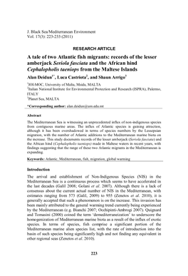 Records of the Lesser Amberjack Seriola Fasciata and the African