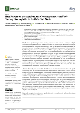 First Report on the Acrobat Ant Crematogaster Scutellaris Storing Live Aphids in Its Oak-Gall Nests