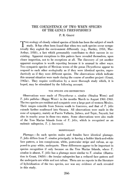 The Coexistence of Two Wren Species of the Genus