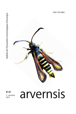 Arvernsis 67