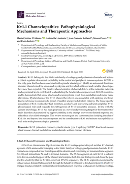 Kv1.1 Channelopathies: Pathophysiological Mechanisms and Therapeutic Approaches