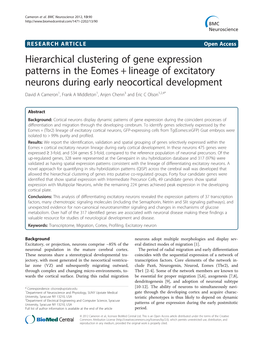 Hierarchical Clustering of Gene Expression Patterns in the Eomes +