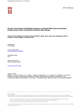 Growth Termination and Multiple Nucleation of Single-Wall Carbon Nanotubes Evidenced by in Situ Transmission Electron Microscopy