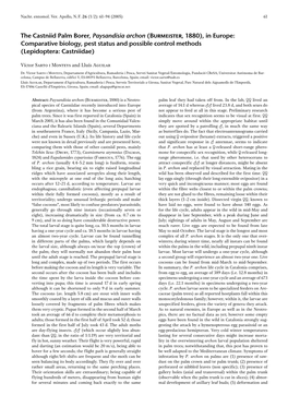 The Castniid Palm Borer, Paysandisia Archon (Burmeister, 1880), in Europe: Comparative Biology, Pest Status and Possible Control Methods (Lepidoptera: Castniidae)