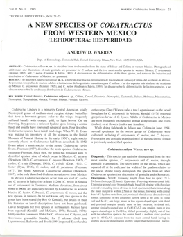 A New Species of Codatractus from Western Mexico (Lepidoptera: Hesperiidae)