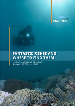 114°E Hong Kong Reef Fish Survey 2016