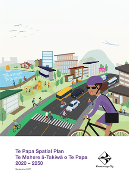 Te Papa Spatial Plan 2020–2050