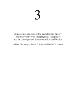 A Molecular Analysis of the Evolutionary History of Mushroom Corals (Scleractinia: Fungiidae) and Its Consequences for Taxonomic Classification