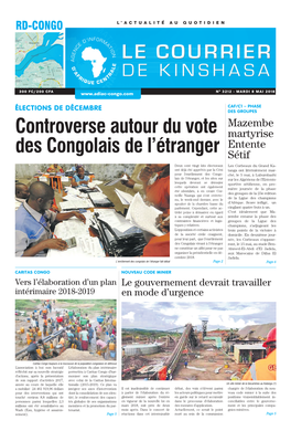 Controverse Autour Du Vote Des Congolais De L'étranger