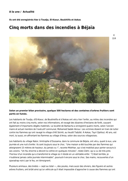 Cinq Morts Dans Des Incendies À Béjaïa