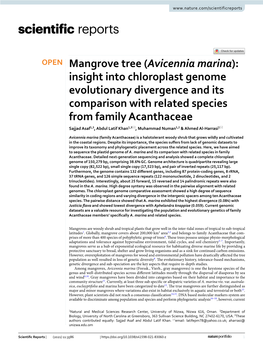 Insight Into Chloroplast Genome Evolutionary Divergence