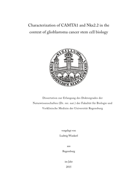 Characterization of CAMTA1 and Nkx2.2 in the Context of Glioblastoma Cancer Stem Cell Biology